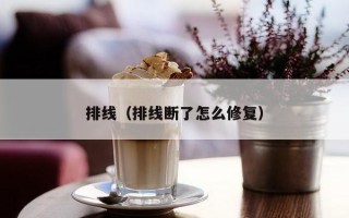 排线（排线断了怎么修复）