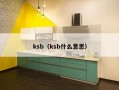 ksb（ksb什么意思）