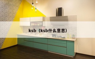 ksb（ksb什么意思）