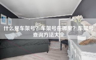 什么是车架号？车架号在哪里？车架号查询方法大全