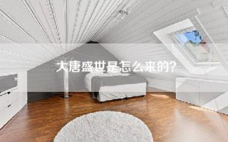 大唐盛世是怎么来的？