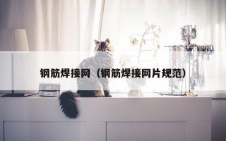 钢筋焊接网（钢筋焊接网片规范）