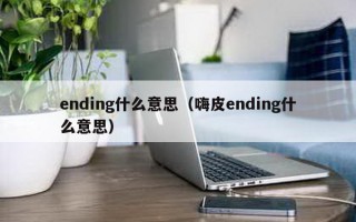 ending什么意思（嗨皮ending什么意思）