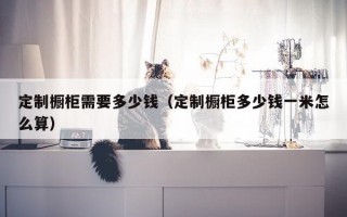 定制橱柜需要多少钱（定制橱柜多少钱一米怎么算）