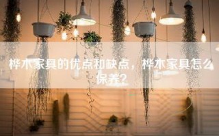 桦木家具的优点和缺点，桦木家具怎么保养？