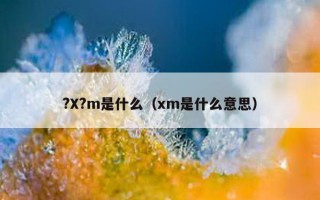 ?X?m是什么（xm是什么意思）