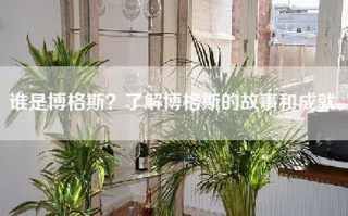 谁是博格斯？了解博格斯的故事和成就。