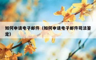 如何申请电子邮件（如何申请电子邮件司法鉴定）