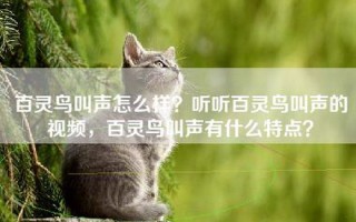 百灵鸟叫声怎么样？听听百灵鸟叫声的视频，百灵鸟叫声有什么特点？