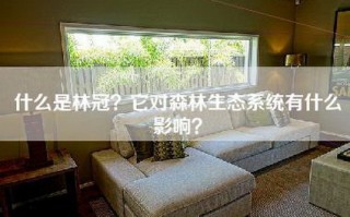 什么是林冠？它对森林生态系统有什么影响？