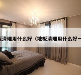 地板清理用什么好（地板清理用什么好一点）