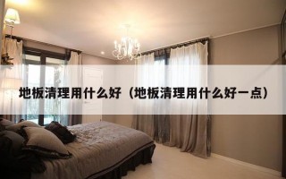 地板清理用什么好（地板清理用什么好一点）