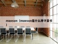 maxsun（maxsun是什么牌子显卡）