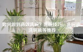 如何做到高效洗碗？洗碗技巧、洗碗液、洗碗机等推荐