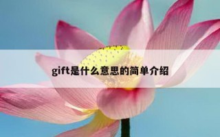 gift是什么意思的简单介绍