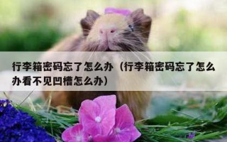 行李箱密码忘了怎么办（行李箱密码忘了怎么办看不见凹槽怎么办）