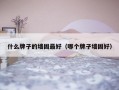 什么牌子的墙固最好（哪个牌子墙固好）