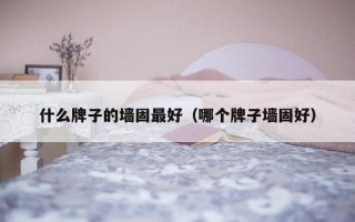 什么牌子的墙固最好（哪个牌子墙固好）