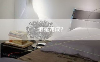 谁是龙成？