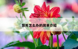 想死怎么办的简单介绍