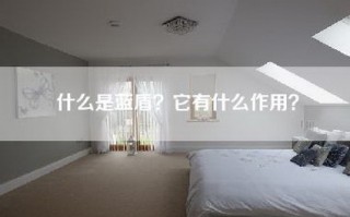 什么是蓝盾？它有什么作用？