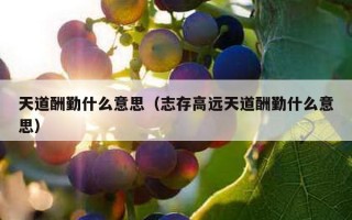 天道酬勤什么意思（志存高远天道酬勤什么意思）