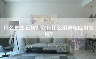 什么是生石灰？它有什么用途和应用领域？