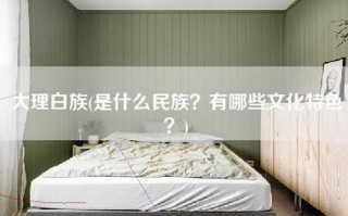 大理白族(是什么民族？有哪些文化特色？)