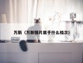 万新（万新镜片属于什么档次）