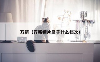 万新（万新镜片属于什么档次）