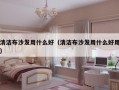 清洁布沙发用什么好（清洁布沙发用什么好用）