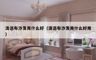 清洁布沙发用什么好（清洁布沙发用什么好用）