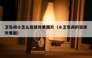 卫生间小怎么装修效果图片（小卫生间的装修效果图）