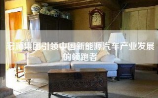 宏源集团引领中国新能源汽车产业发展的领跑者