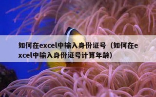 如何在excel中输入身份证号（如何在excel中输入身份证号计算年龄）