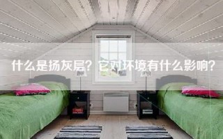 什么是扬灰层？它对环境有什么影响？