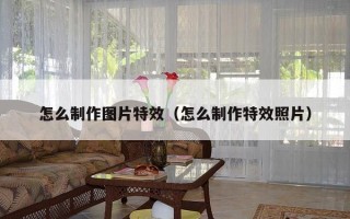 怎么制作图片特效（怎么制作特效照片）