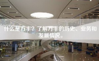 什么是万丰？了解万丰的历史、业务和发展情况。