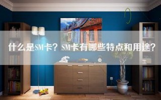 什么是SM卡？SM卡有哪些特点和用途？