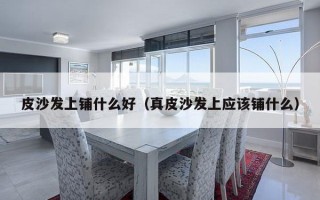 皮沙发上铺什么好（真皮沙发上应该铺什么）