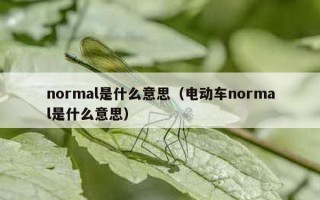 normal是什么意思（电动车normal是什么意思）