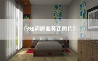 你知道哪些黄芪图片？