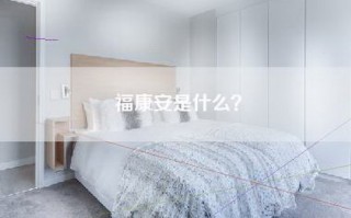 福康安是什么？