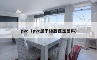 pvc（pvc属于橡胶还是塑料）