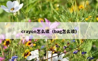 crayon怎么读（bag怎么读）