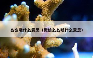 么么哒什么意思（微信么么哒什么意思）