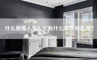 什么是情人草？它有什么功效和作用？