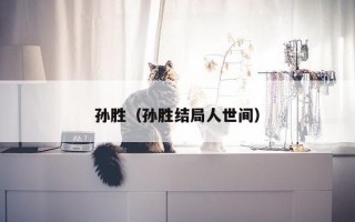 孙胜（孙胜结局人世间）