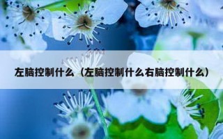 左脑控制什么（左脑控制什么右脑控制什么）