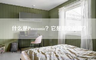 什么是Panasonic？它是哪个品牌？